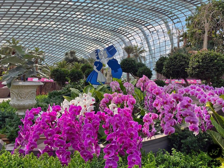 European-themed (10)