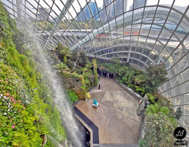 Cloud Forest 20 (6)